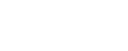 life_star_branco