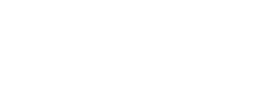 lotus_branco